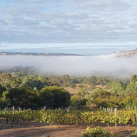 Pecan Hill Bnb Toodyay Luaran gambar