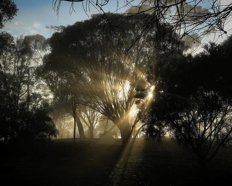 Pecan Hill Bnb Toodyay Luaran gambar