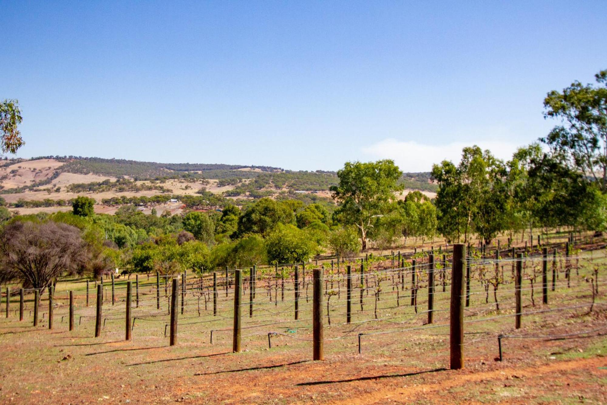 Pecan Hill Bnb Toodyay Luaran gambar