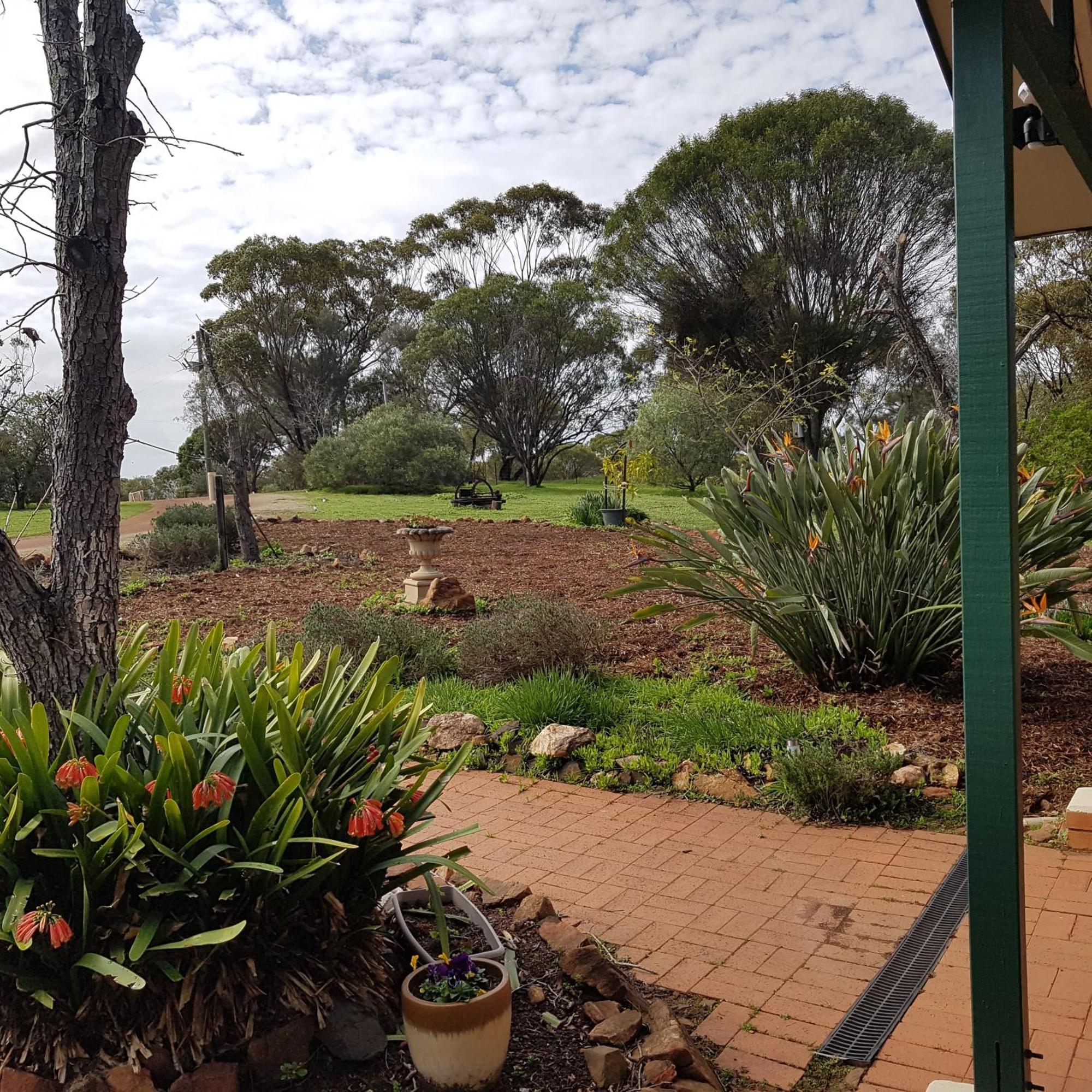 Pecan Hill Bnb Toodyay Luaran gambar